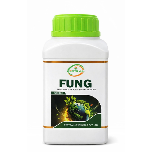 FUNG
